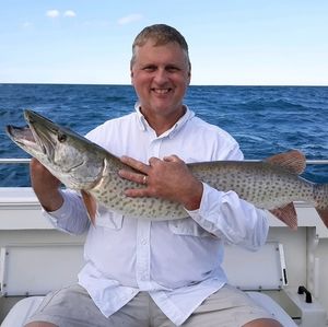 Meet your Posher, George